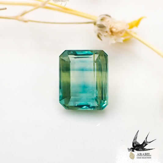 Natural Bicolor Kyanite 2.227ct [Nepal] ★Multicolor Gemstone★ 