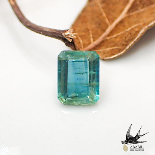 Natural Bicolor Kyanite 1.915ct [Nepal] ★Multicolor gemstone★ 