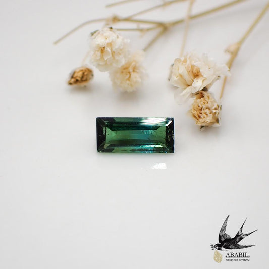 Natural Bicolor Tourmaline 0.751ct [Afghanistan] ★Bicolor★ 