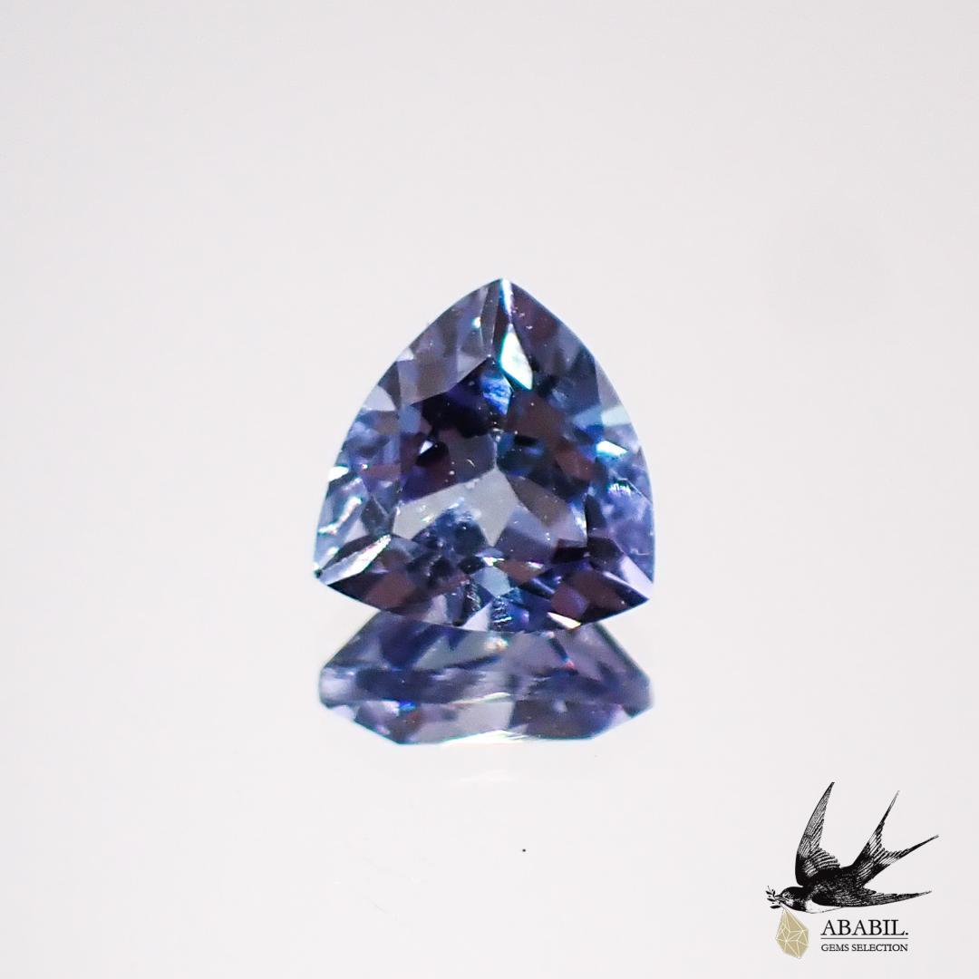 天然雙色坦桑石（黝簾石）0.64t [坦桑尼亞] Multicolor gemstone 