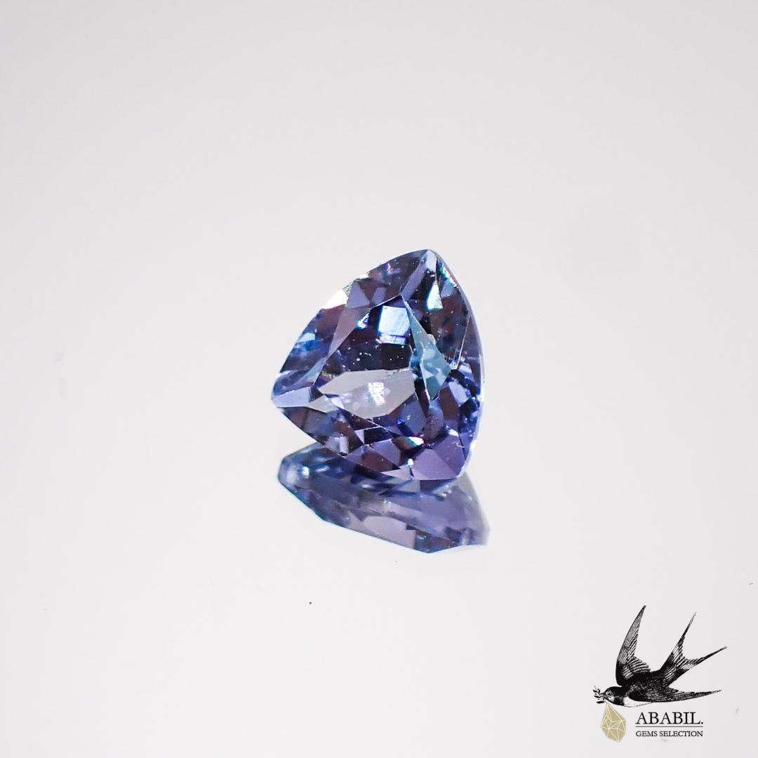 天然雙色坦桑石（黝簾石）0.64t [坦桑尼亞] Multicolor gemstone 
