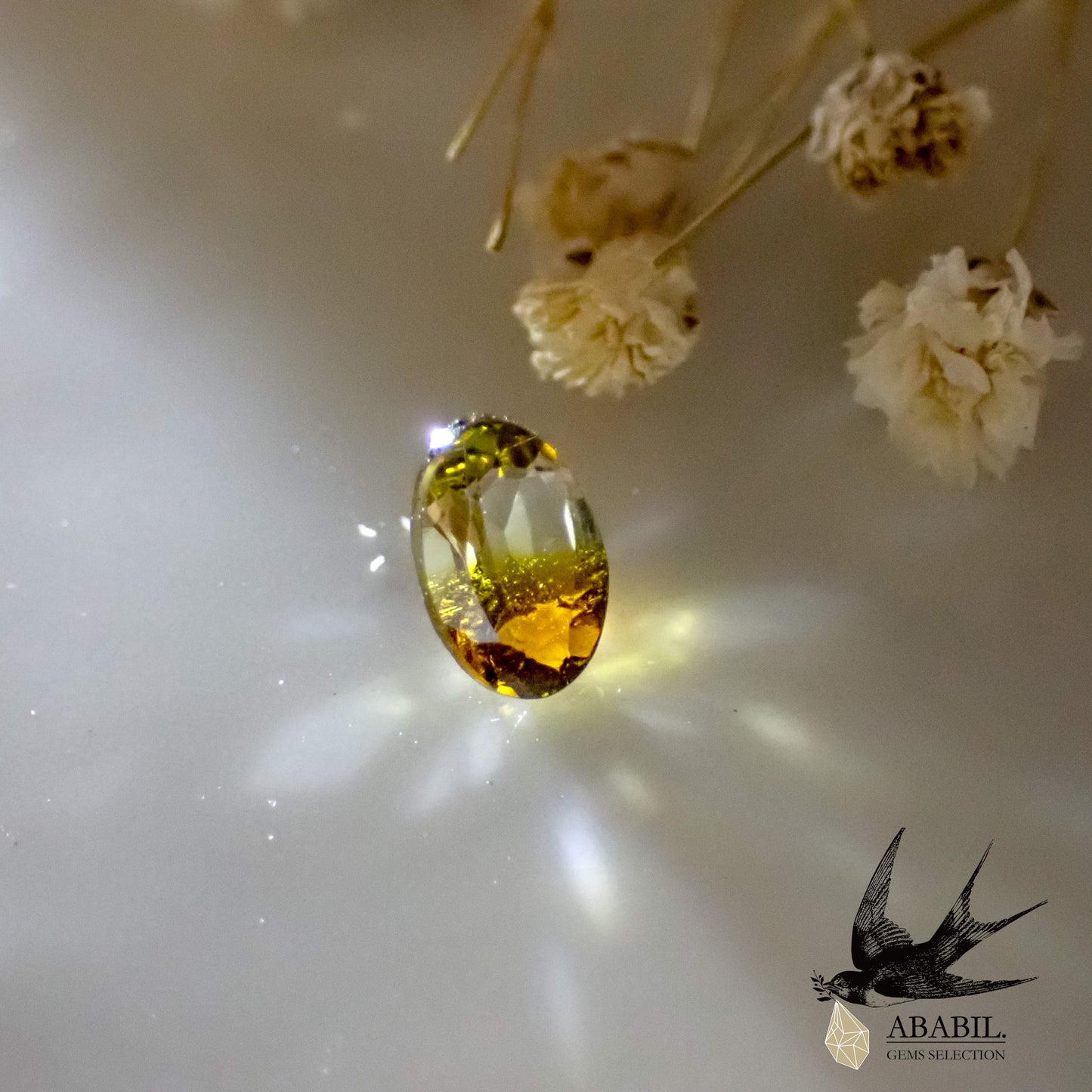 天然雙色碧璽 0.47ct [剛果] ★bicolor★