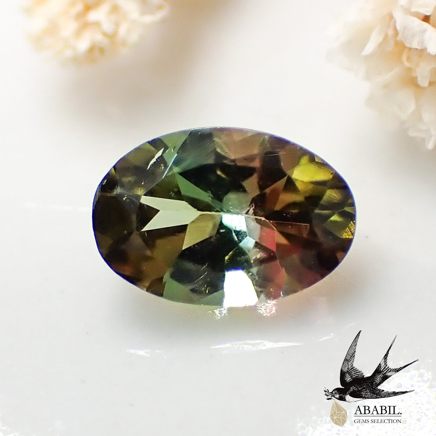 Natural bicolor tourmaline 0.50ct [Congo] ★bicolor★