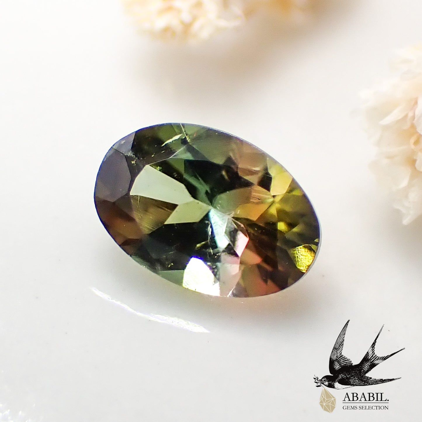 Natural bicolor tourmaline 0.50ct [Congo] ★bicolor★