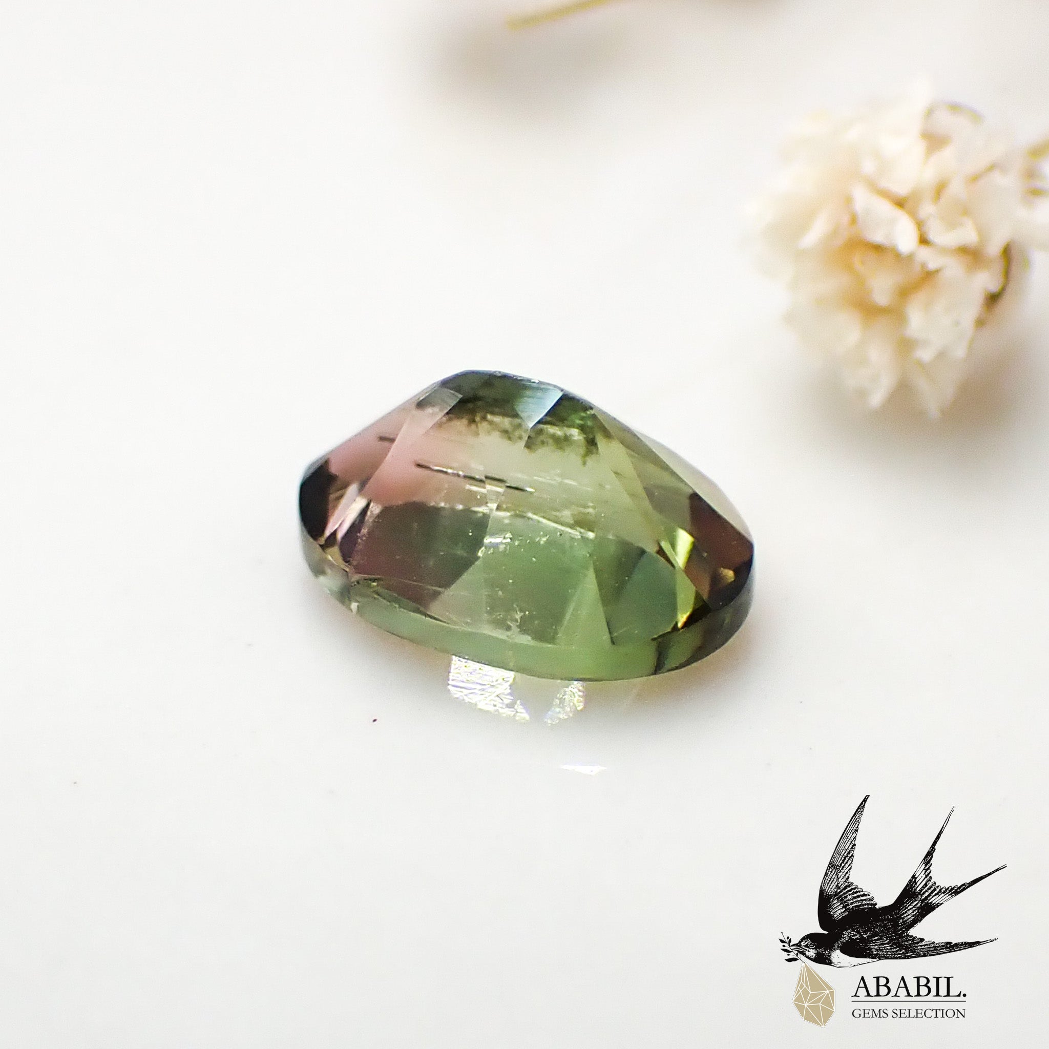 天然バイカラートルマリン0.90ct【コンゴ】☆バイカラー☆ – ABABIL.gems