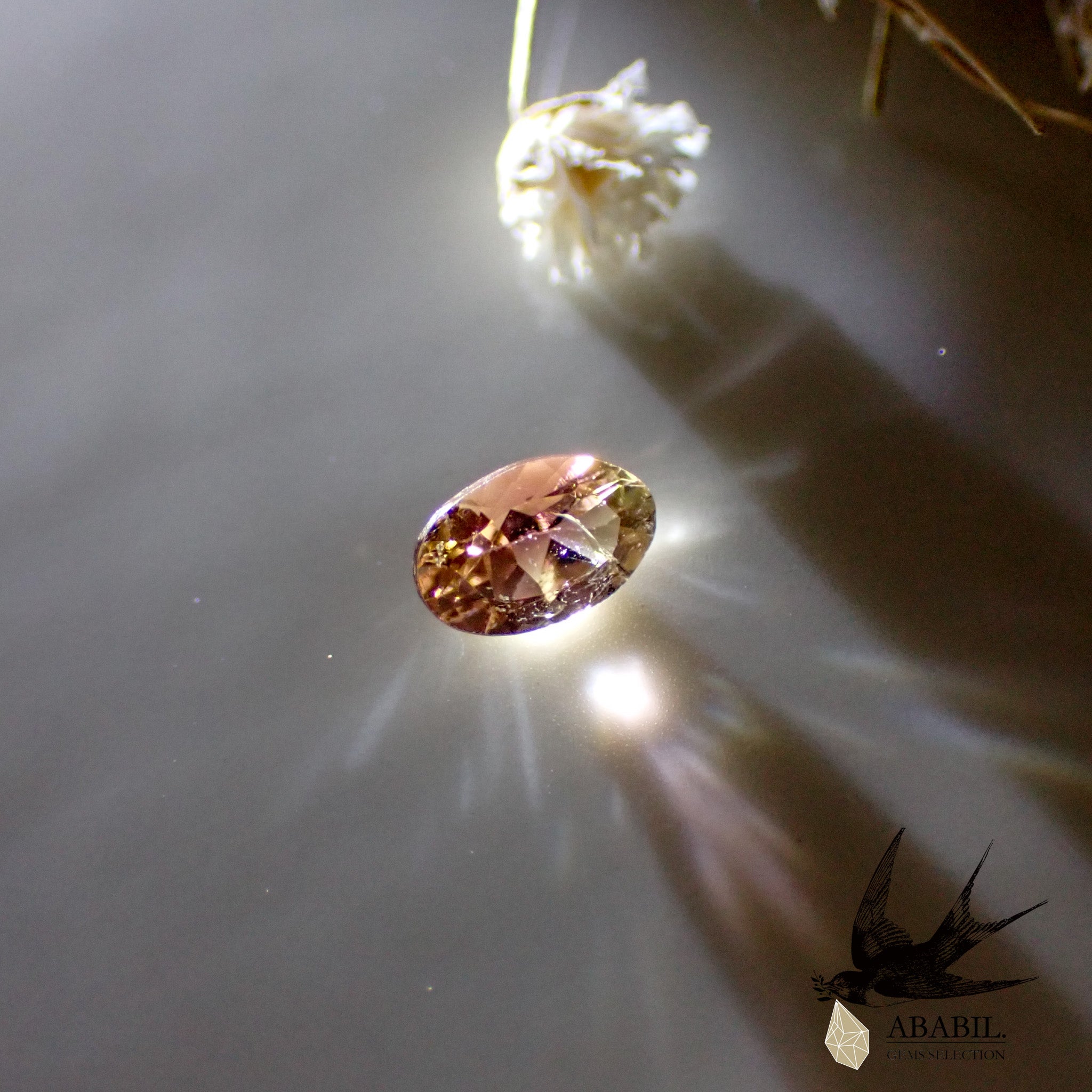 天然バイカラートルマリン0.45ct【コンゴ】☆バイカラー