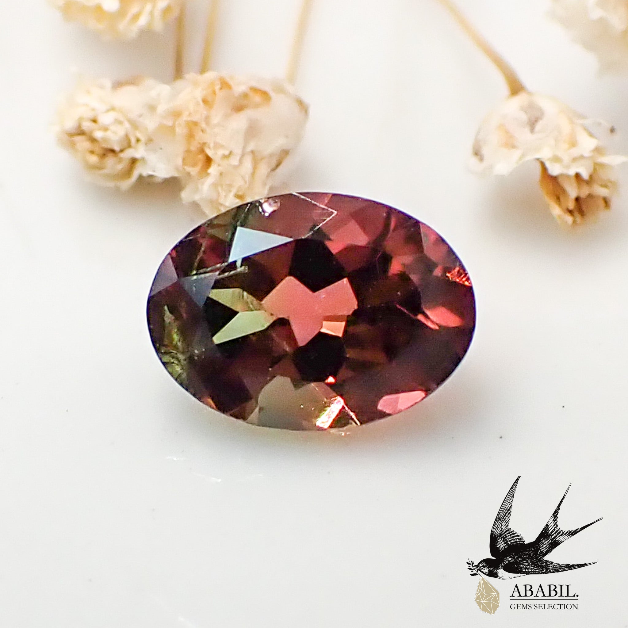 天然バイカラートルマリン0.87ct【コンゴ】☆バイカラー☆ – ABABIL.gems