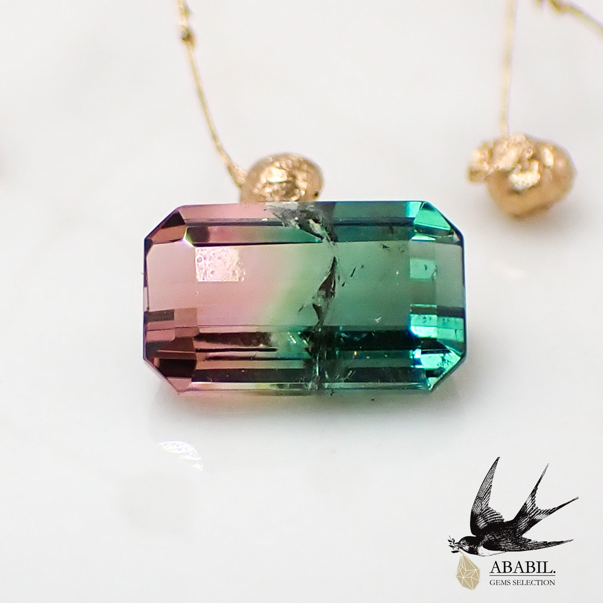 天然バイカラートルマリン1.16ct【ブラジル】☆スイカの色合い☆ – ABABIL.gems