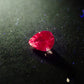 Natural padparadscha sapphire 0.072ct [Sri Lanka] ★Glow specialty ★Fluorescence 