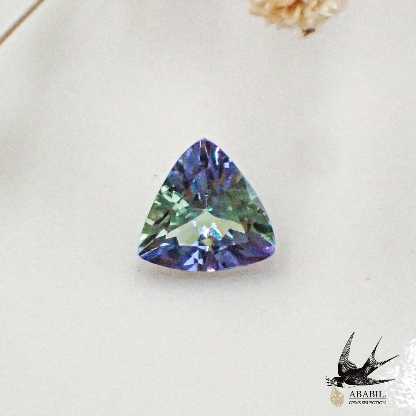 Natural bicolor tanzanite (zoisite) 0.597ct [Tanzania] ★ Multicolor gem ★ 