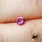 Natural pink tourmaline 0.19ct [Brazil] gentle pink