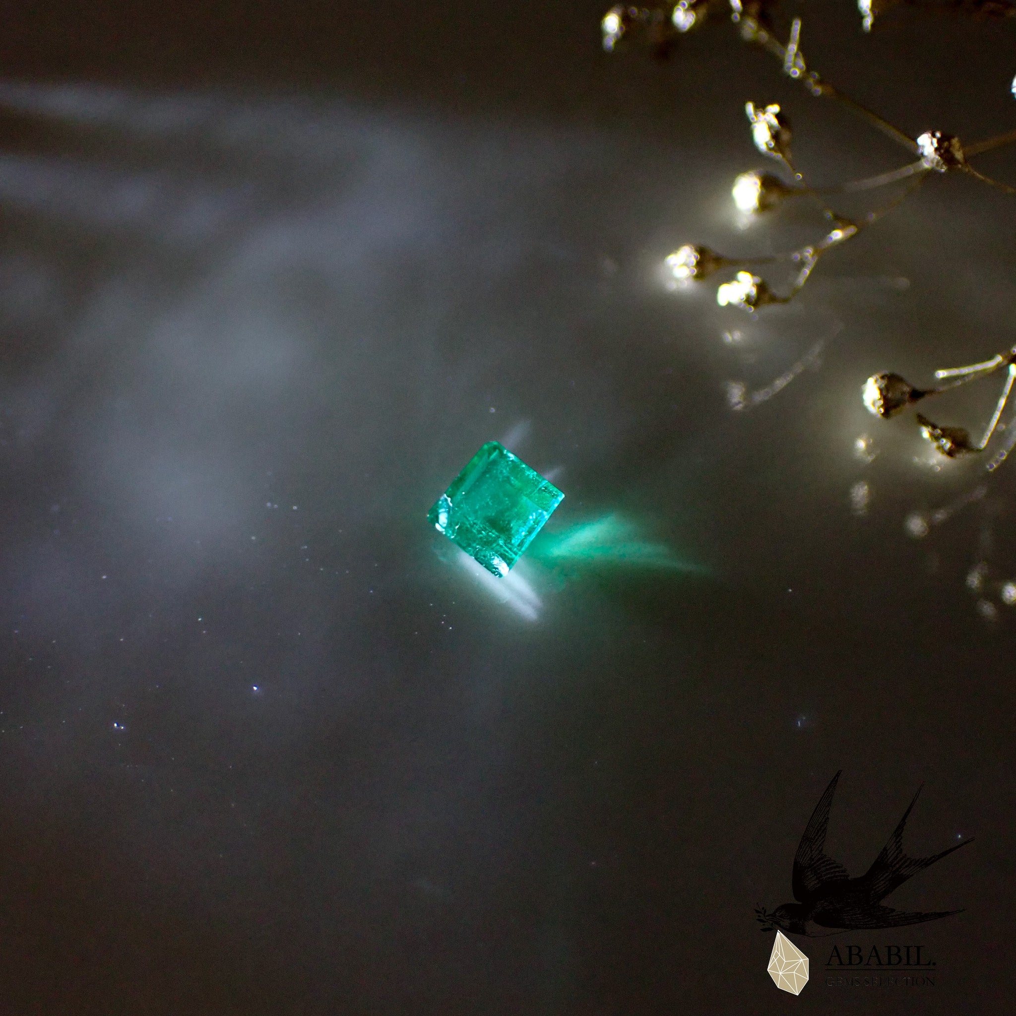 天然エメラルド0.59ct【ザンビア】☆透明度が高い☆ – ABABIL.gems 天然エメラルド0.59ct【ザンビア】☆透明度が高い☆ – ABABIL.gems