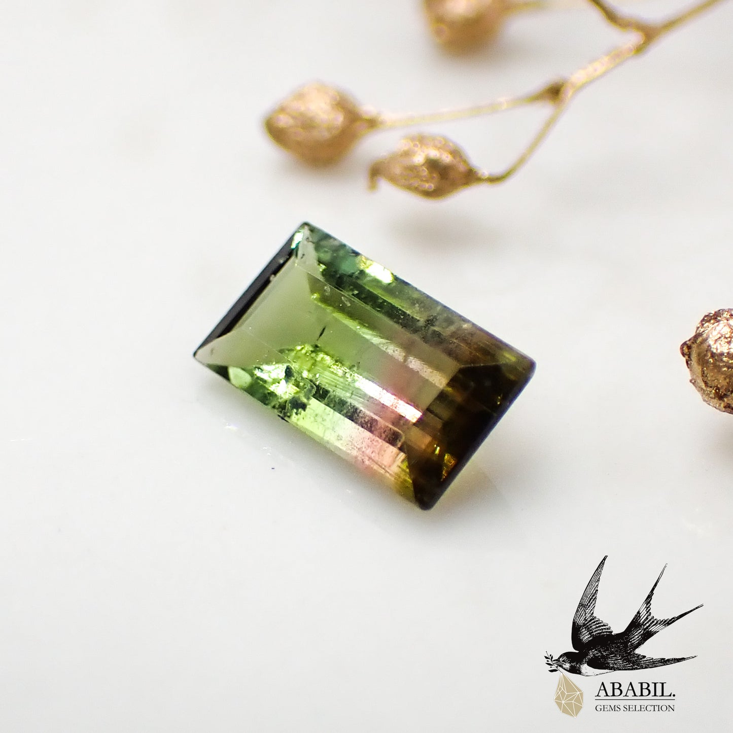 Natural Bicolor Tourmaline 0.61ct [Afghanistan] ★Bicolor★ 