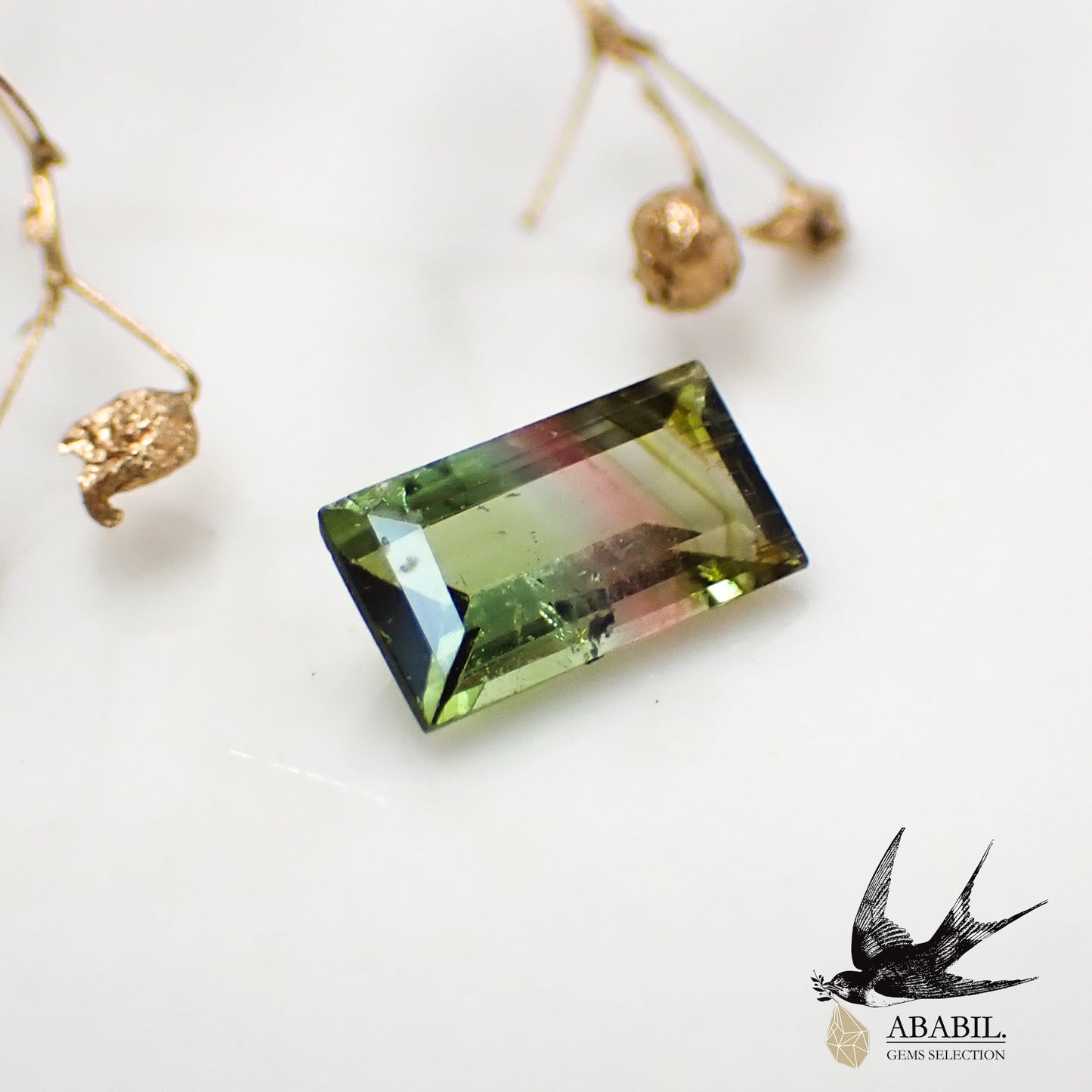 Natural Bicolor Tourmaline 0.61ct [Afghanistan] ★Bicolor★ 